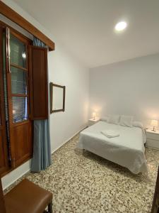 托洛克斯Casa Pepe La Rosa的一间卧室设有一张床和一个窗口