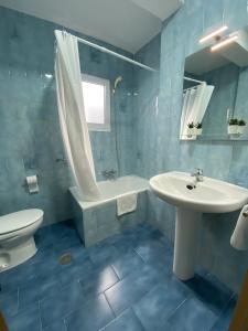 托洛克斯Casa Pepe La Rosa的蓝色瓷砖浴室设有水槽和卫生间