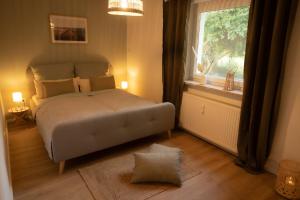 Loose5 Sterne Premium Ferienwohnung in Ostseenähe的一间卧室设有一张大床和大窗户