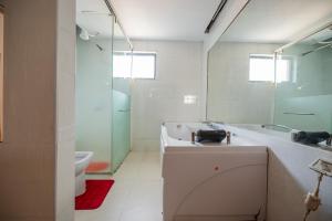 内罗毕spacious & stylish 4bdr kileleshwa的一间带水槽、卫生间和镜子的浴室