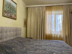 鲍里斯皮尔Boryspil Airport Luxury apartment的一间卧室配有床和带窗帘的窗户