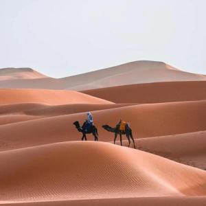 MhamidMhamid camp activités的两个人骑着骆驼在沙漠中