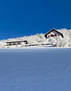 拉登泰因Nocky Mountains Lodge的雪地顶上的房子