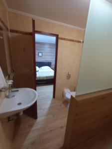 弗拉基米尔-沃伦斯基Volyn HOTEL LUDMIR的一间带水槽的浴室和一间带一张床的卧室