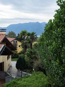 勒威诺Amazing 3 bedrooms villa with lavish garden, breathtaking lake and mountains view的享有棕榈树和山脉美景。