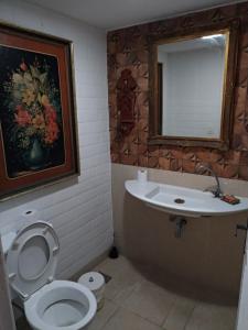 里约热内卢Estúdios Deluxe São Manuel的一间带水槽、卫生间和镜子的浴室
