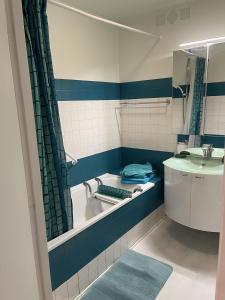 艾克斯莱班Appartement en plein cœur d'Aix-les-Bains的蓝色和白色的浴室设有浴缸和水槽