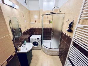 克雷姆尼察Apartmán Pod fontánou的带淋浴、卫生间和盥洗盆的浴室