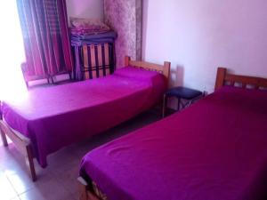 圣何塞La casa de Norma的紫色床单的客房内的两张床