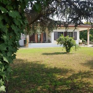 莱尼亚戈B & B Cedro Argentato的院子里有树的白色房子