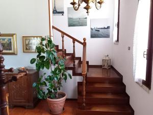 莱尼亚戈B & B Cedro Argentato的一座有盆栽植物的房子里的楼梯