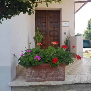 莱尼亚戈B & B Cedro Argentato的门前一盆鲜花