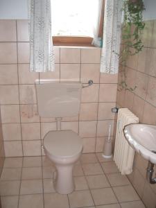比绍夫斯维森110 qm Ferienwohnung Haus Renn的一间带卫生间、水槽和窗户的浴室
