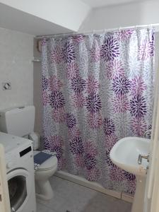 锡蒂亚Sitia Holidays 2的带淋浴帘和洗衣机的浴室