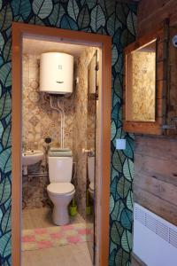LoksaEnnu’s hut的一间带卫生间和水槽的浴室