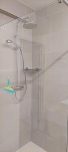 奥斯坦德Vakantie-appartement La Régence @ Oostende的浴室里设有玻璃门淋浴
