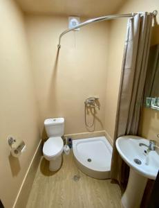 马尔特维利Guest House Sveta的一间带卫生间和水槽的小浴室