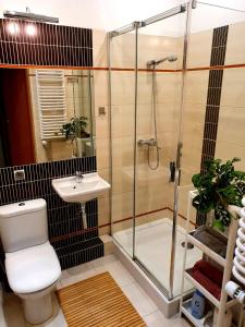 华沙Vistula studio的带淋浴、卫生间和盥洗盆的浴室