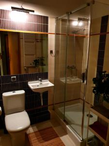 华沙Vistula studio的浴室配有卫生间、盥洗盆和淋浴。