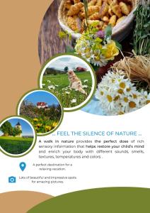MiljanaMasnec Tourist Farm的一张带有三个花卉图案的网站页面
