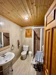 里奥帕尔Casa Rural Campanilla的一间带水槽、卫生间和镜子的浴室
