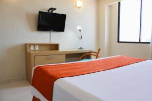 比亚埃尔莫萨瑞欧德拉果套房酒店的一间酒店客房,配有一张床和一台电视