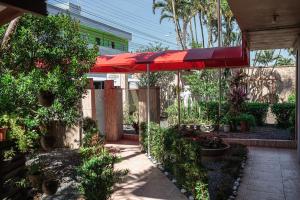 纳韦甘蒂斯Pousada Navegantes的一个带红色雨伞和一些植物的庭院