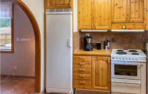 龙讷比Stunning Home In Ronneby With House Sea View的厨房配有白色冰箱和炉灶。