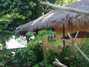 HitokalakLena house Flores的茅草屋顶小屋和一些树木