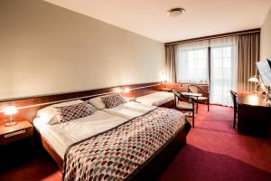 布兰斯科OREA Resort Panorama Moravský kras的配有一张床和一张书桌的酒店客房