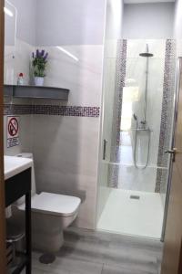 加的斯Apartamento “Las Cuadras “的带淋浴、卫生间和盥洗盆的浴室