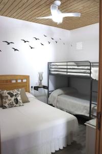 加的斯Apartamento “Las Cuadras “的卧室配有两张双层床,墙上有鸟