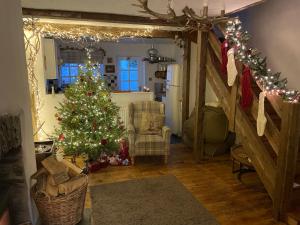 比迪福德Lotte’s Cottage的客厅配有圣诞树和圣诞灯