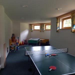 斯拉德明Hotel Pension Berghof的乒乓球桌,带乒乓球桌的房间