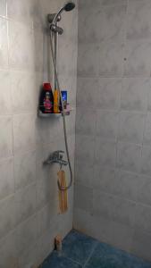 GarniГостевой дом Гарни的浴室里设有淋浴,墙上装有水管