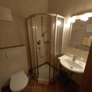 斯拉德明Hotel Pension Berghof的带淋浴、卫生间和盥洗盆的浴室