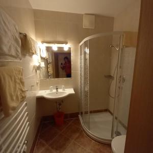斯拉德明Hotel Pension Berghof的带淋浴、盥洗盆和镜子的浴室