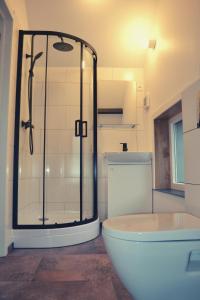 索姆勒兹Chateau Brulant的带淋浴、浴缸和卫生间的浴室