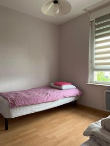 斯特拉斯堡Park Line garden的小房间,配有一张带粉红色毯子的床