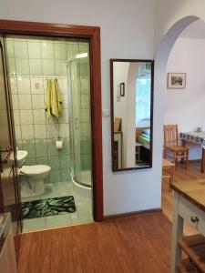 隆代克-兹德鲁伊Jaskółka的带淋浴、卫生间和镜子的浴室