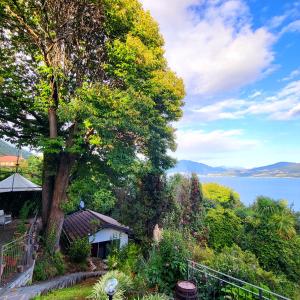 吉法Mid of Nature ~ Bella Vista sul Lago Maggiore的水景度假屋