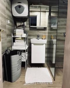 维索科Holiday Home Amila的一间带水槽、卫生间和镜子的浴室