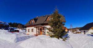 克维尔达Chata Terezka的雪中有一棵圣诞树的房子