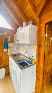 派帕Villa Angela Glamping & Tiny Houses的厨房配有白色橱柜和水槽