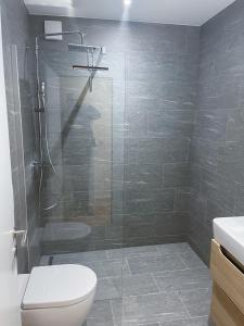 拉珀斯维尔-约纳SCHNYDER'S HOME - Rosenappartement的带淋浴、卫生间和盥洗盆的浴室