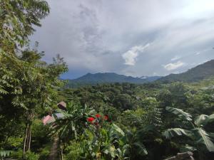 埃尔扎伊诺Mirador Dentro del Parque Tayrona的享有丛林美景和山脉背景