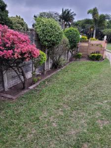 理查兹湾Mavundla guest house的一座种有粉红色花卉和围栏的花园