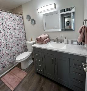 安克雷奇Anchorage midtown apartment- Wyoming 1的一间带水槽、卫生间和镜子的浴室