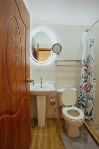 Lower Princeʼs QuarterJuly AirBnB的一间带卫生间、水槽和镜子的浴室