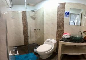 比亚维森西奥Hotel Royal Classy的一间带卫生间和玻璃淋浴间的浴室
